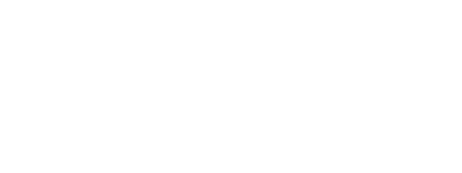 Mighty Canvas